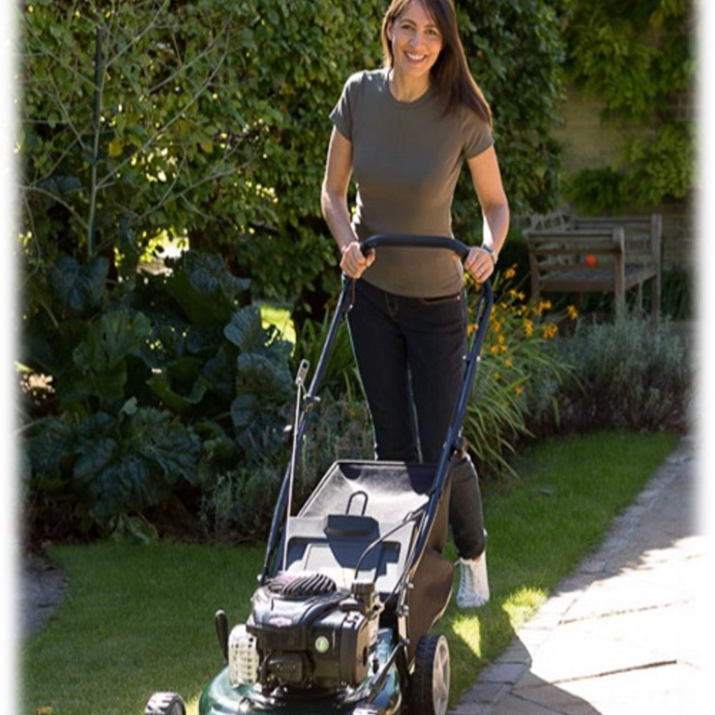Hayter osprey 46 autodrive online